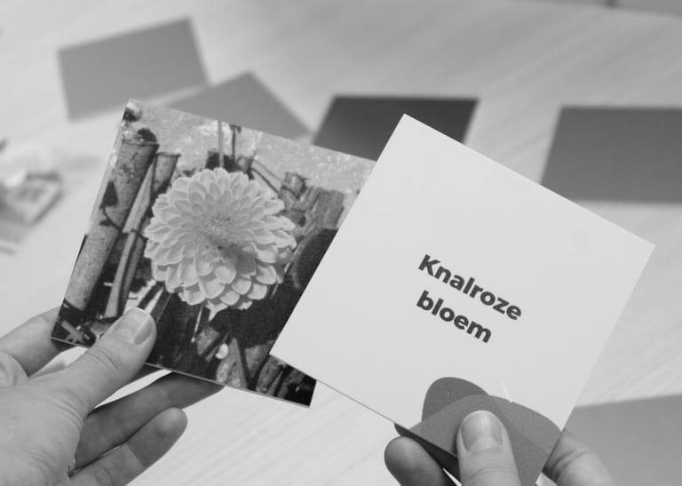 alt text memory game. A card with the text: A pink flower